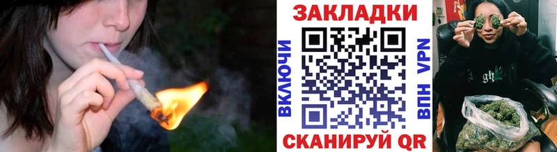 МЕФ Петрозаводск
