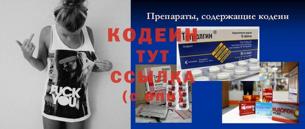 индика Верхнеуральск