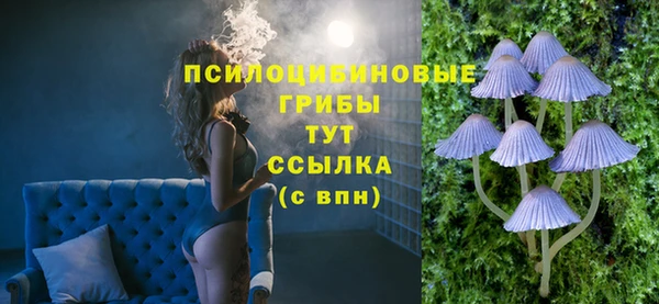 эйфоретик Верея