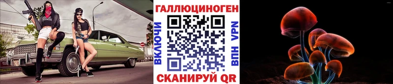 Псилоцибиновые грибы Psilocybine cubensis  Петрозаводск 